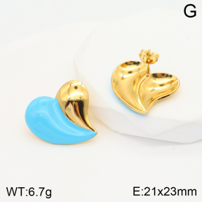 2E3002585aakl-703  Stainless Steel Earrings