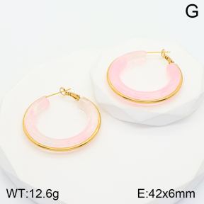 2E4003587bbml-311  Stainless Steel Earrings