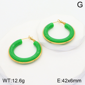 2E4003588bbml-311  Stainless Steel Earrings