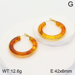 2E4003589bbml-311  Stainless Steel Earrings