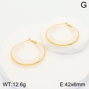 2E4003590bbml-311  Stainless Steel Earrings