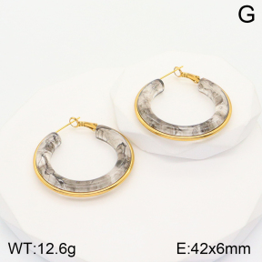 2E4003592bbml-311  Stainless Steel Earrings