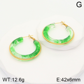 2E4003594bbml-311  Stainless Steel Earrings