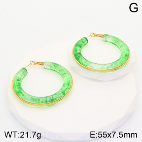 2E4003595vbnl-311  Stainless Steel Earrings