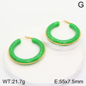 2E4003596vbnl-311  Stainless Steel Earrings