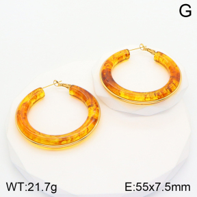 2E4003597vbnl-311  Stainless Steel Earrings