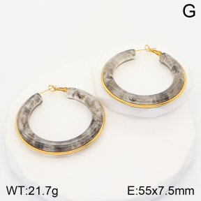 2E4003598vbnl-311  Stainless Steel Earrings