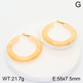 2E4003602vbnl-311  Stainless Steel Earrings