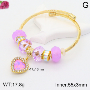 F2BA40810vbpb-J39  Fashion Bangle