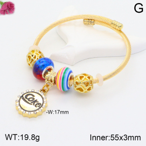 F2BA40813vbpb-J39  Fashion Bangle