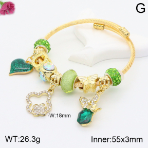 F2BA40816vhha-J39  Fashion Bangle