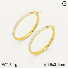 CL6E00172aaji-703  Closeout( No Discount) Stainless Steel Earrings