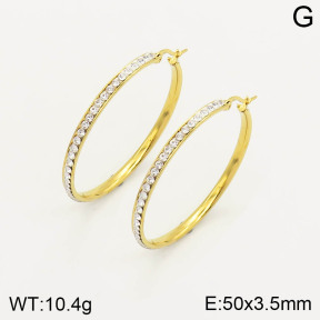 CL6E00183vajj-703  Closeout( No Discount) Stainless Steel Earrings