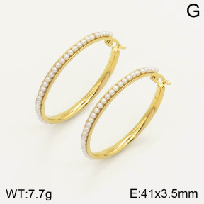 CL6E00191vajj-703  Closeout( No Discount) Stainless Steel Earrings