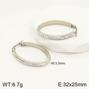 CL6E00196aaij-703  Closeout( No Discount) Stainless Steel Earrings