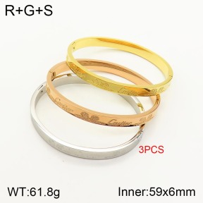 PZ1756803aivb-317  Cartier  Bangles