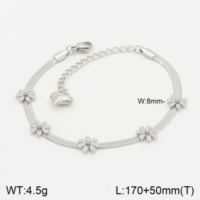 2B2002911vbnb-747  Stainless Steel Bracelet