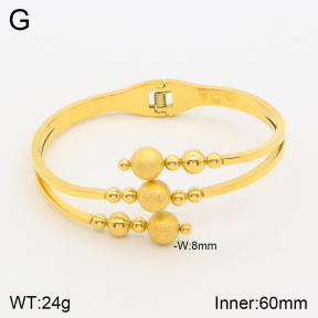 2BA201350ahjb-669  Stainless Steel Bangle