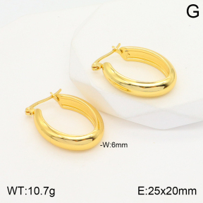 2E2004354aajl-423  Stainless Steel Earrings