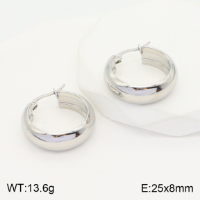 2E2004360aajl-423  Stainless Steel Earrings