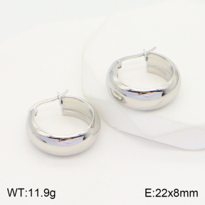 2E2004362aajl-423  Stainless Steel Earrings