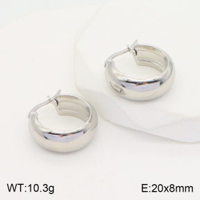 2E2004364aajl-423  Stainless Steel Earrings