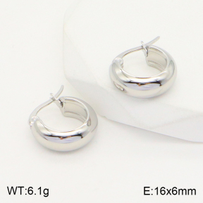 2E2004366avja-423  Stainless Steel Earrings