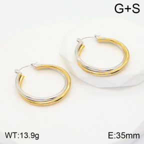 2E2004368baka-423  Stainless Steel Earrings