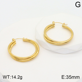 2E2004369aajl-423  Stainless Steel Earrings