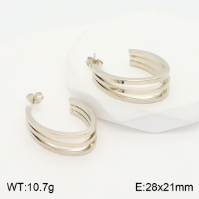 2E2004371avja-423  Stainless Steel Earrings