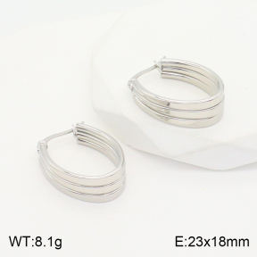 2E2004374aajl-423  Stainless Steel Earrings