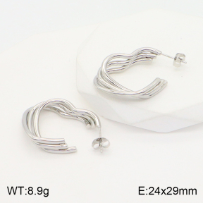 2E2004376avja-423  Stainless Steel Earrings