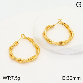 2E2004378baka-423  Stainless Steel Earrings