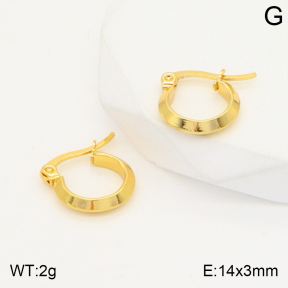 2E2004383aahl-423  Stainless Steel Earrings