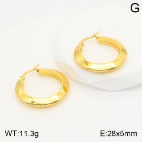 2E2004386aajl-423  Stainless Steel Earrings