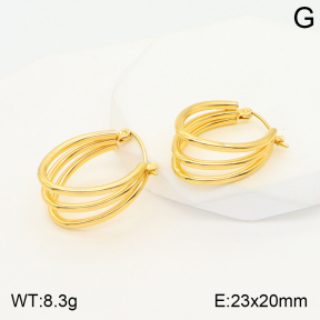 2E2004389aajl-423  Stainless Steel Earrings