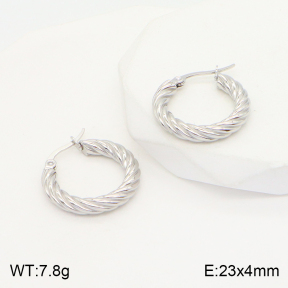 2E2004404avja-423  Stainless Steel Earrings