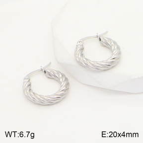 2E2004406avja-423  Stainless Steel Earrings