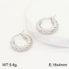 2E2004408avja-423  Stainless Steel Earrings