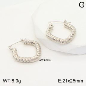 2E2004411aajl-423  Stainless Steel Earrings