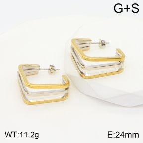 2E2004414baka-423  Stainless Steel Earrings