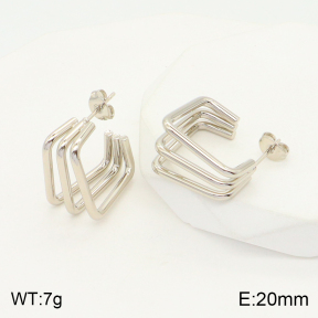 2E2004416avja-423  Stainless Steel Earrings