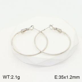 2E2004424vaia-423  Stainless Steel Earrings