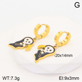 2E3002612vbnl-669  Stainless Steel Earrings