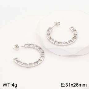 2E4003612bbml-669  Stainless Steel Earrings