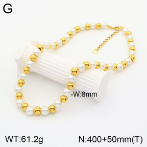 2N3001833bipa-746  Stainless Steel Necklace