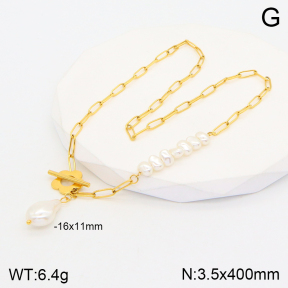 2N3001852vbpb-669  Stainless Steel Necklace