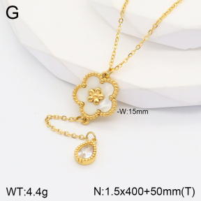 2N3001853bbov-669  Stainless Steel Necklace