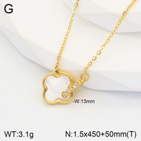 2N3001868bbov-747  Stainless Steel Necklace