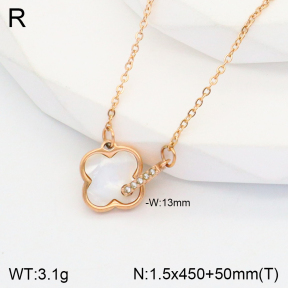 2N3001869bbov-747  Stainless Steel Necklace